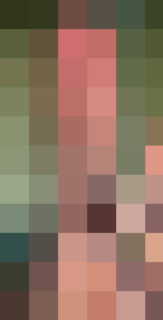 pixelated image